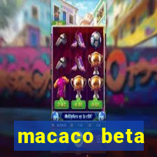 macaco beta