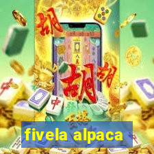 fivela alpaca