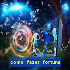 como fazer fortuna com a??es pdf