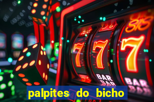 palpites do bicho no celular