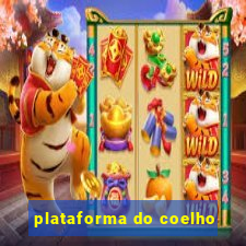 plataforma do coelho