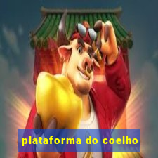 plataforma do coelho