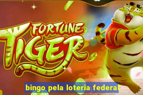 bingo pela loteria federal