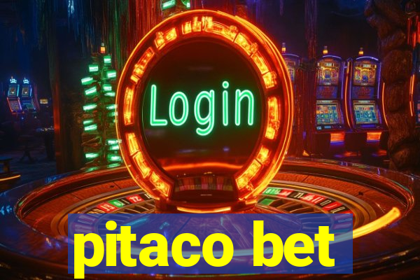 pitaco bet