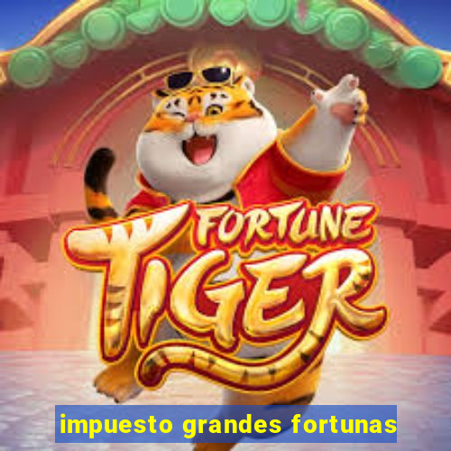 impuesto grandes fortunas