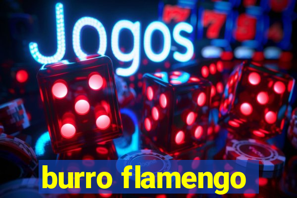 burro flamengo