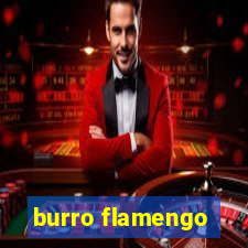 burro flamengo