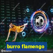 burro flamengo