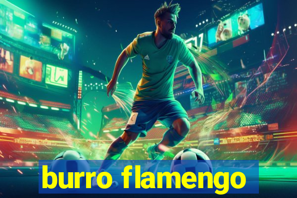 burro flamengo