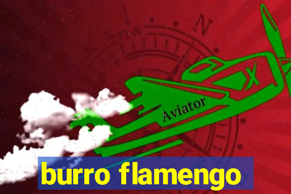 burro flamengo