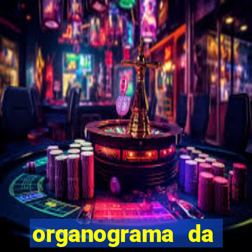 organograma da cacau show