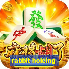 rabbit holeing