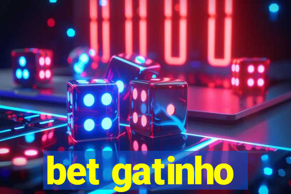 bet gatinho