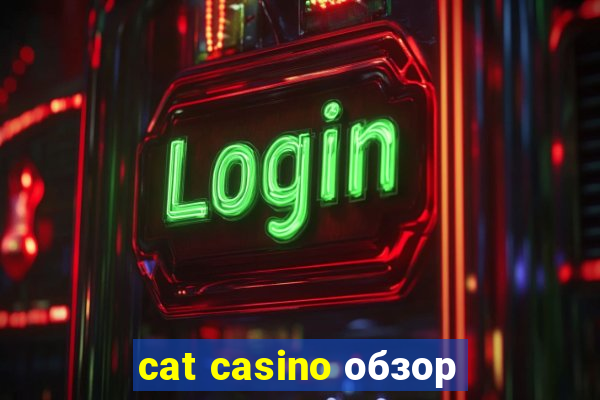 cat casino обзор