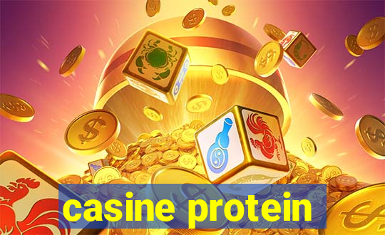 casine protein