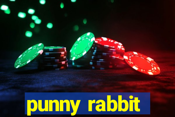 punny rabbit