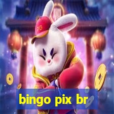 bingo pix br