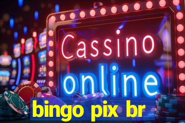 bingo pix br