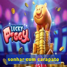 sonhar com carapato