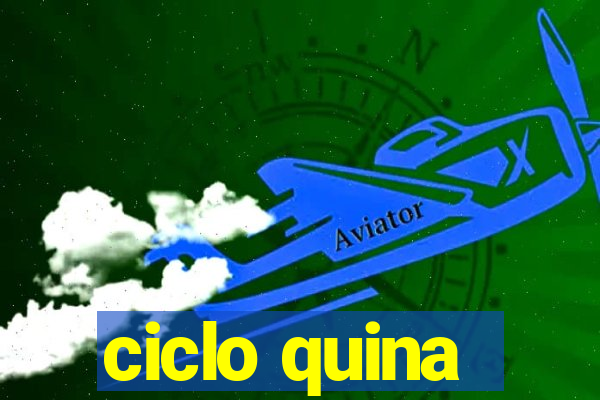 ciclo quina