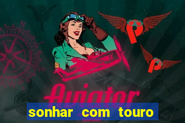 sonhar com touro mega sena