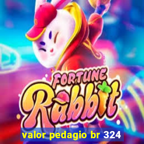 valor pedagio br 324