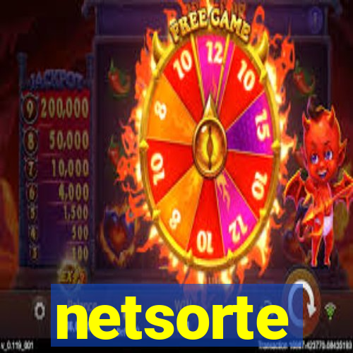 netsorte