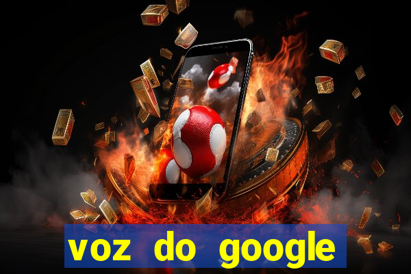 voz do google tradutor homem