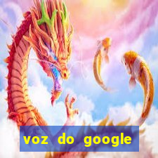 voz do google tradutor homem