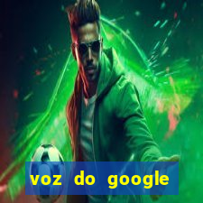 voz do google tradutor homem