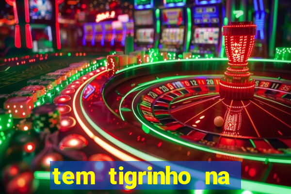 tem tigrinho na bet 365