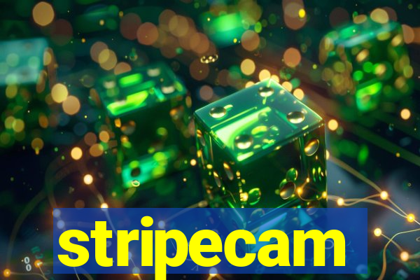 stripecam