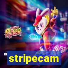 stripecam