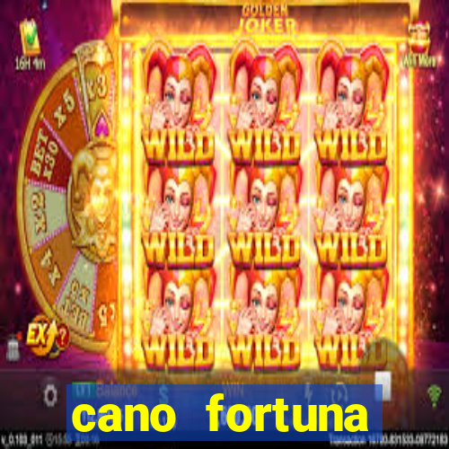 cano fortuna mercado livre