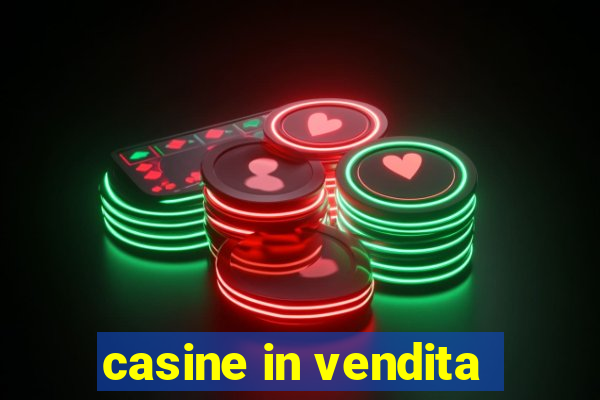 casine in vendita