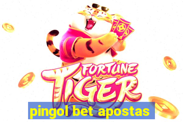 pingol bet apostas