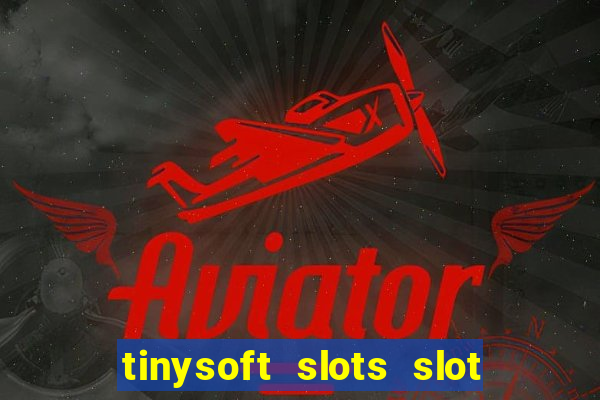 tinysoft slots slot machines & casino games