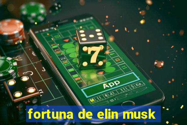 fortuna de elin musk