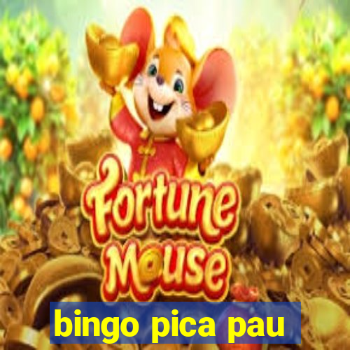 bingo pica pau