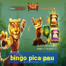 bingo pica pau