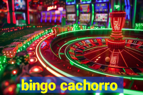 bingo cachorro