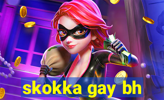 skokka gay bh