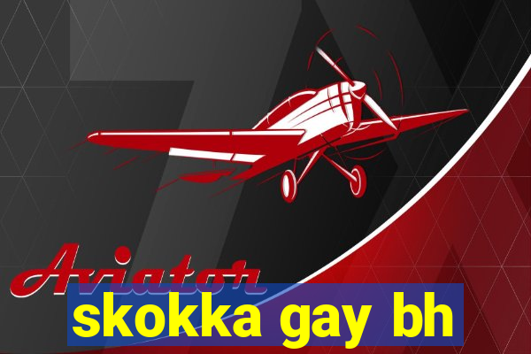 skokka gay bh