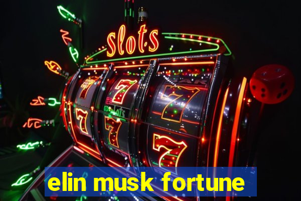 elin musk fortune