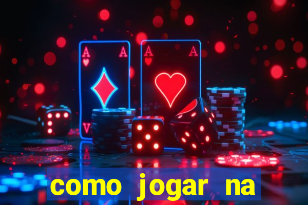 como jogar na lotinha do jogo do bicho