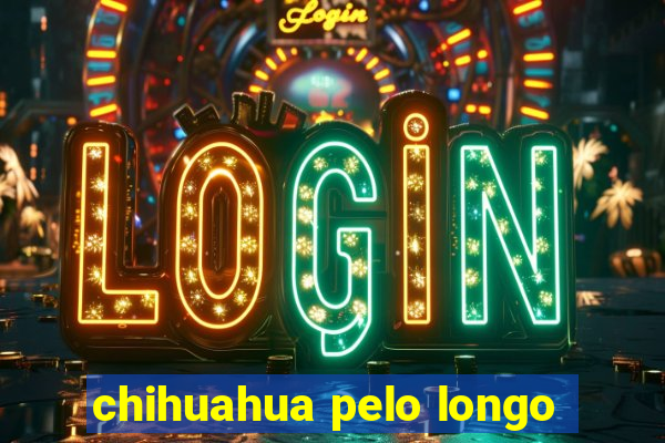 chihuahua pelo longo