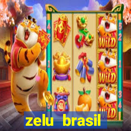 zelu brasil facilitadora de pagamentos ltda jogos