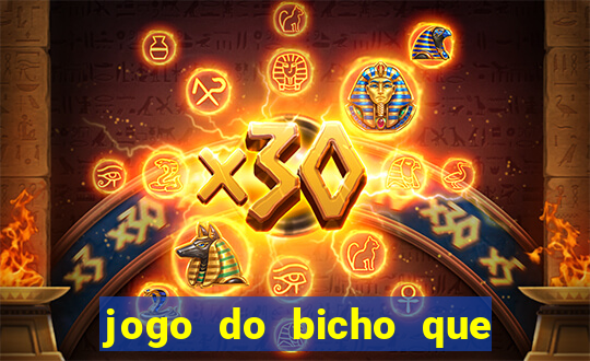 jogo do bicho que da dinheiro