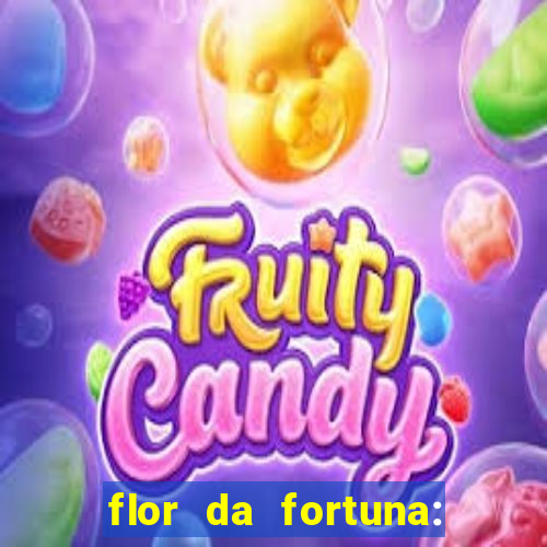 flor da fortuna: como cuidar