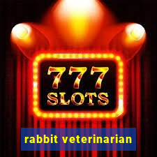 rabbit veterinarian